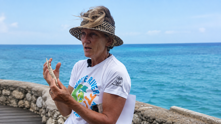 Belinda Morrow and the Long Work of Protecting Jamaica’s Sea
